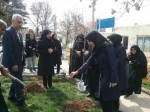 درخت کاری 2