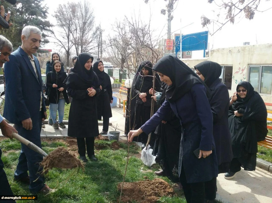 درخت کاری 2