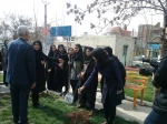 درختکاری 2