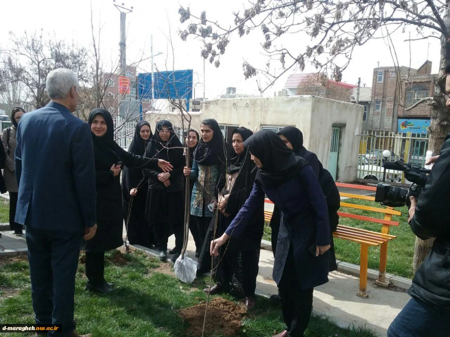 درختکاری 2
