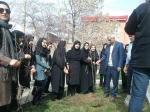 درختکاری 2