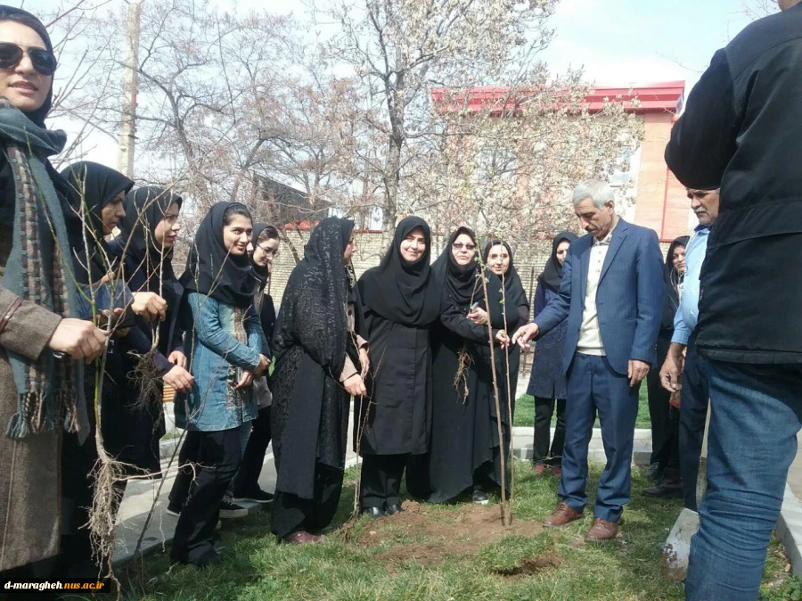 درختکاری 2