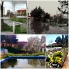 بهار در آموزشکده 2