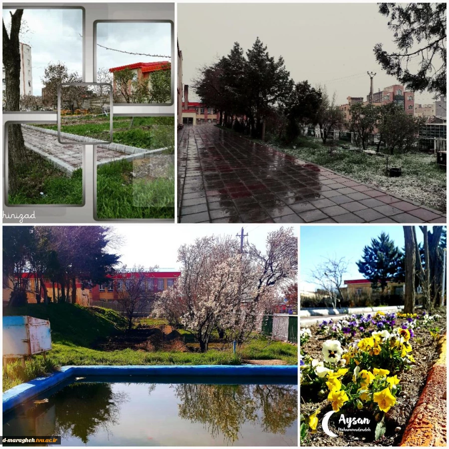 بهار در آموزشکده 2