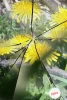 بهار در آموزشکده 3