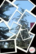 بهار در آموزشکده 4