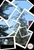 بهار در آموزشکده 4