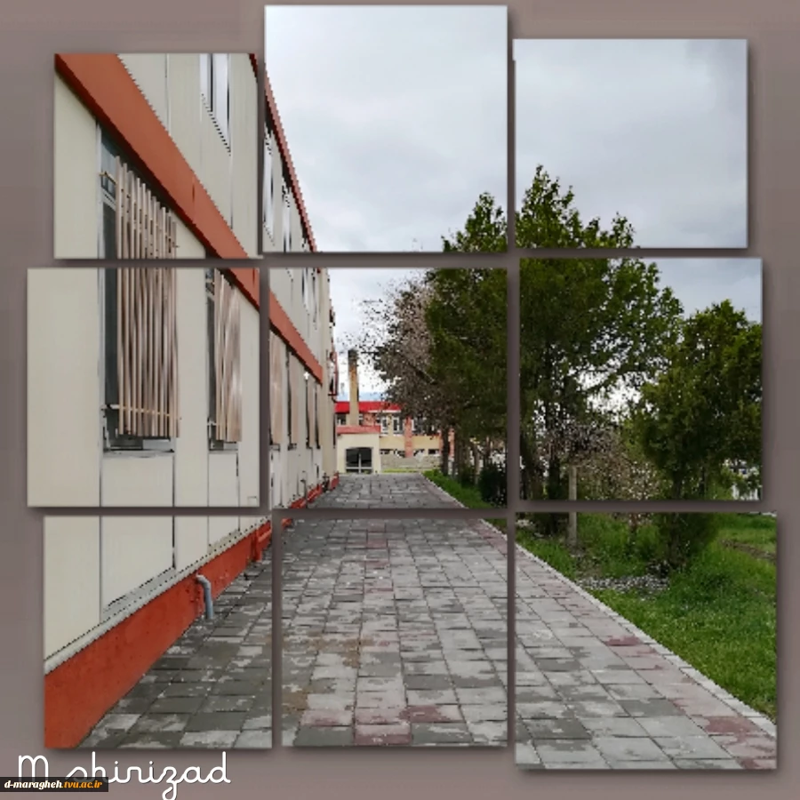 بهار در آموزشکده 13