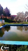 بهار در آموزشکده 23