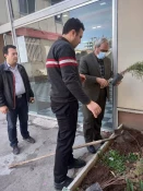 اجرای طرح درختکاری و کاشت چند اصله نهال در آموزشکده فنی و حرفه ای دختران مراغه به مناسبت هفته درختکاری  2