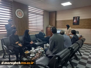 بازدید میدانی تیم نظارت و ارزیابی برنامه شهر سالم و ایمن مراغه 4